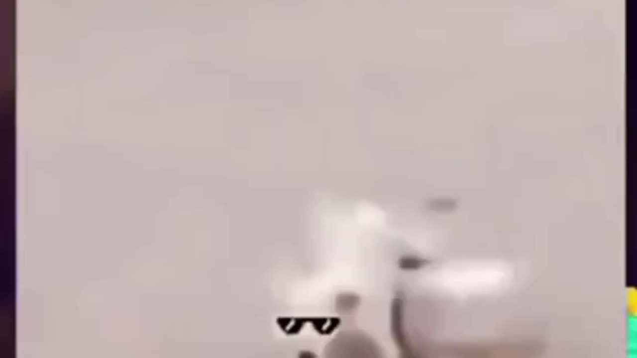Funny video 2023_смешные видео 2023