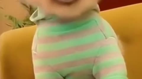 Funny and cute cat _funny cat