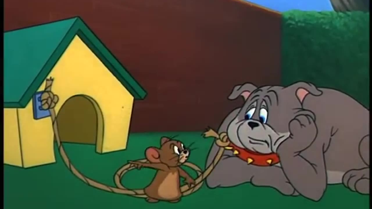 Tom and Jerry - Fit to be tied