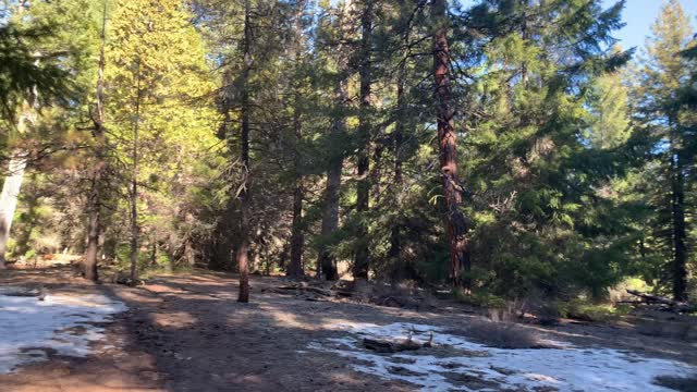 There are No Wizards at Wizard Falls, I Checked – Metolius River – Central Oregon