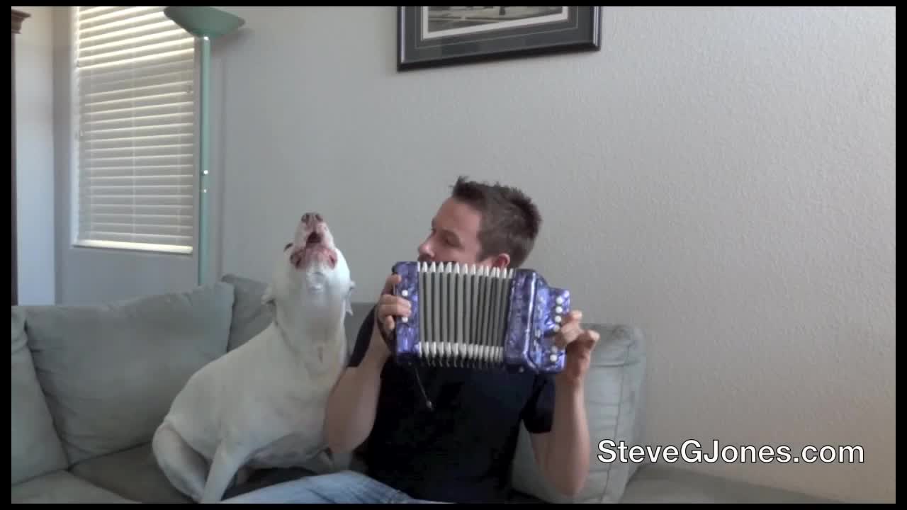 The Singing Dog
