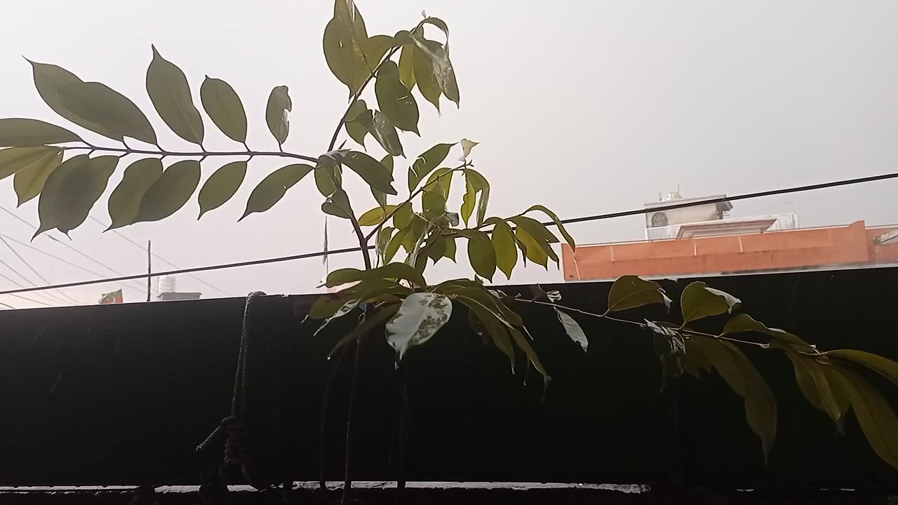 Heavy rain in Rawalpindi