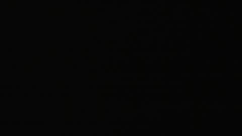 2923RHOBGRXrayLowerIndep_2021-01-05_05h00min02s177ms.mp4
