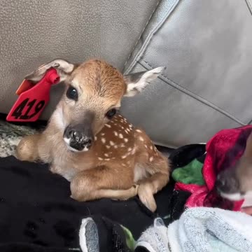 Fren of Pepe Deluxe, Jena, posted this in her Facebook 💚☕