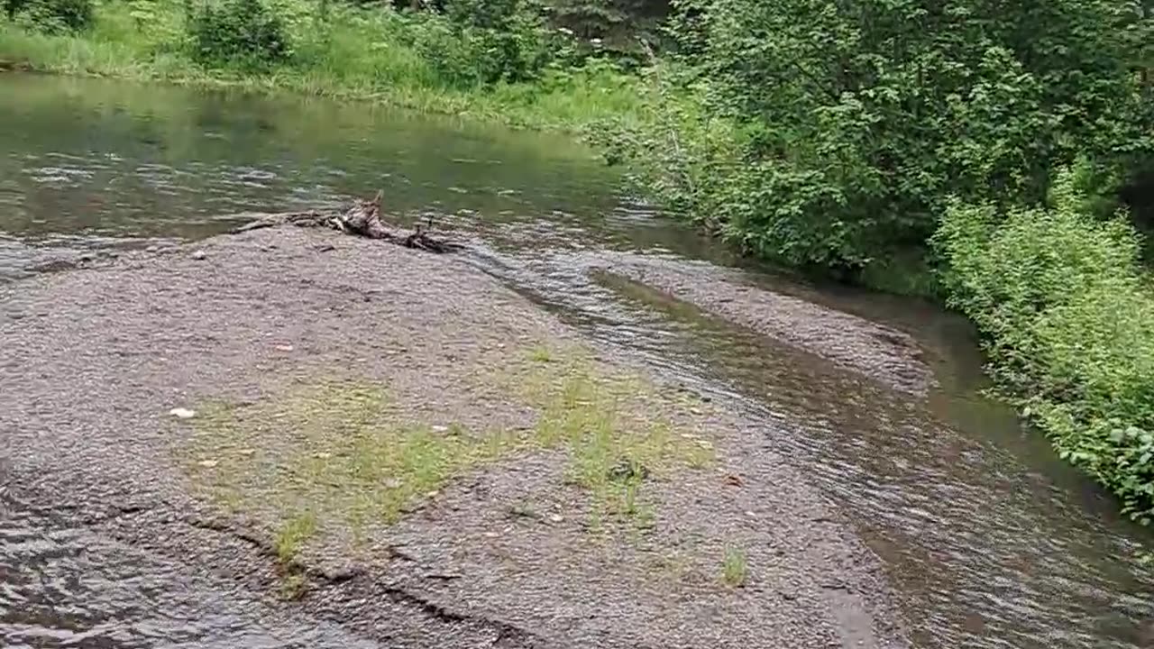 Cambell Creek River in Anchorage Alaska discussing the CCP and traitors.