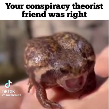 Your conspiracy theorist friend was right🐸