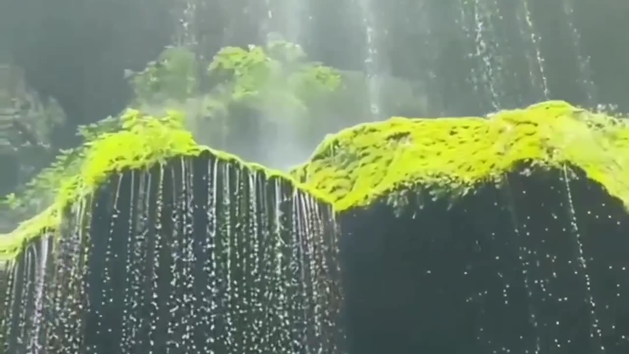 For Nature lovers