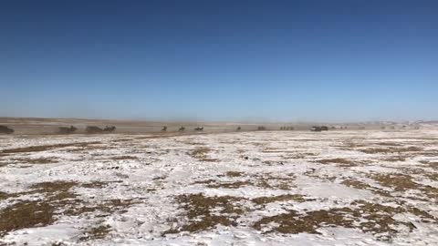 Winter Race Horse Training Mongolia