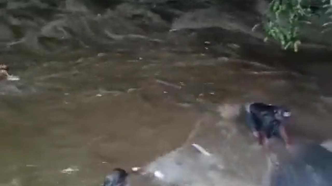 Major flood due to Fula River overflowing in the Bonao of Dominican Republic