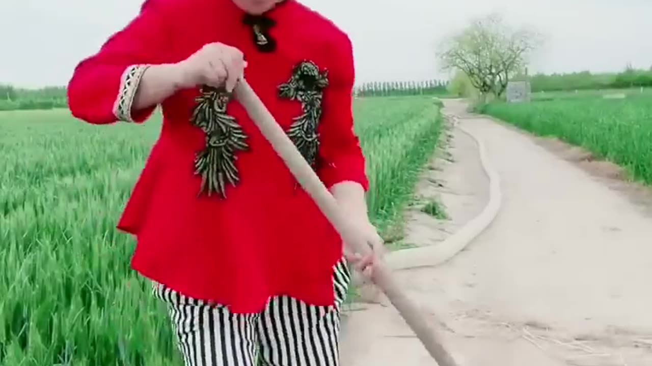 Funny funny video 2023