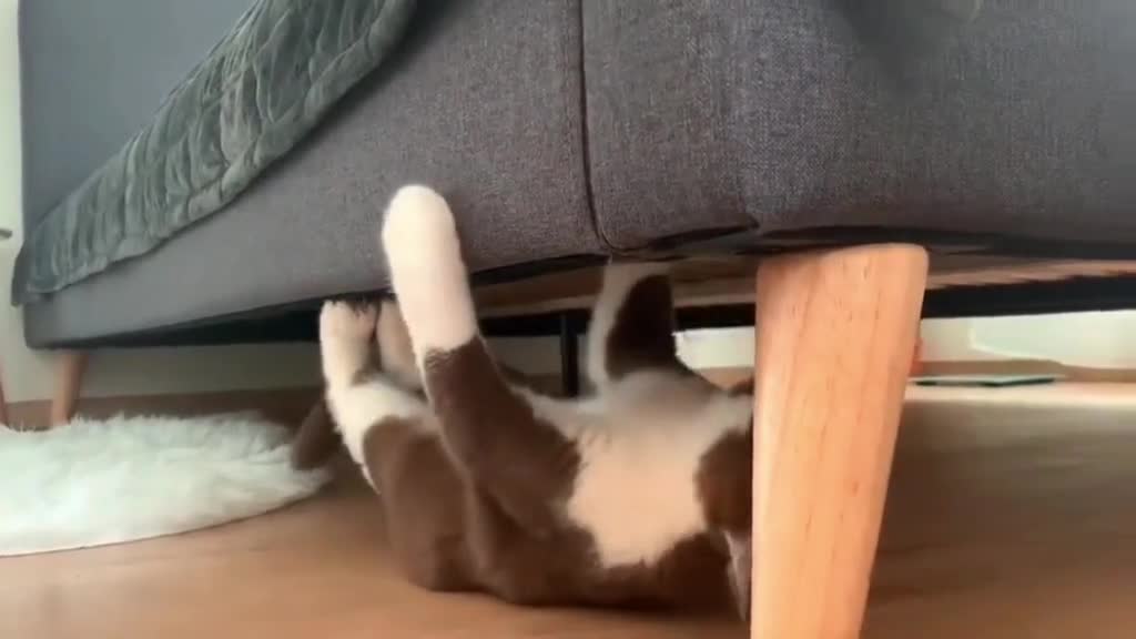 443_What are you doing