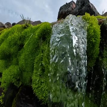 Relaxing and Wonderful Waterfall: Nature's Own Stress Reliever
