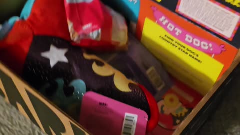 Virgil's new Barkbox.