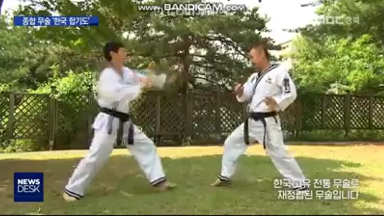 Hapkido
