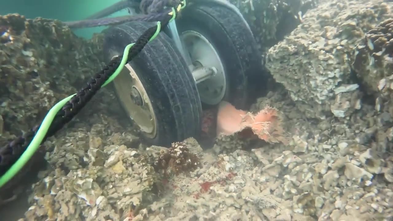 Navy divers capture underwater video of downed military spy airplane in Kaneohe Bay.