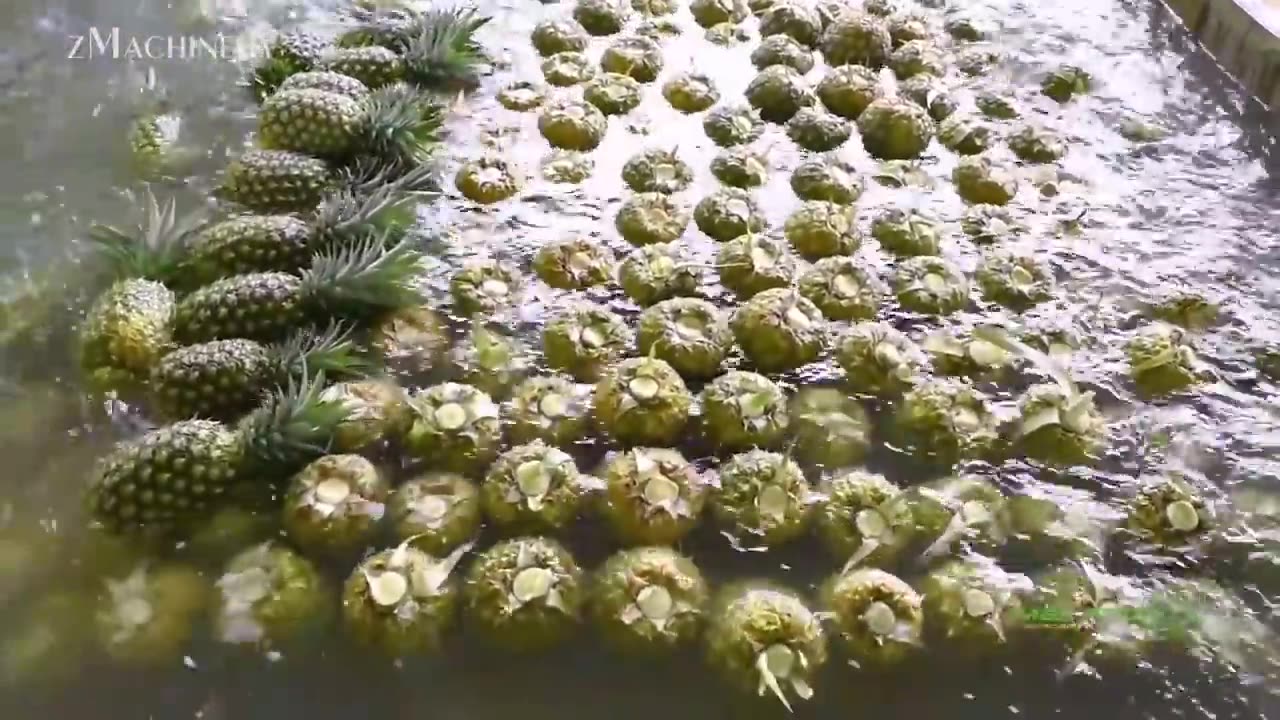 Pineapple Harvesting & Processing - Modern Production Line And Technology Of Bottled Fruit Juice!