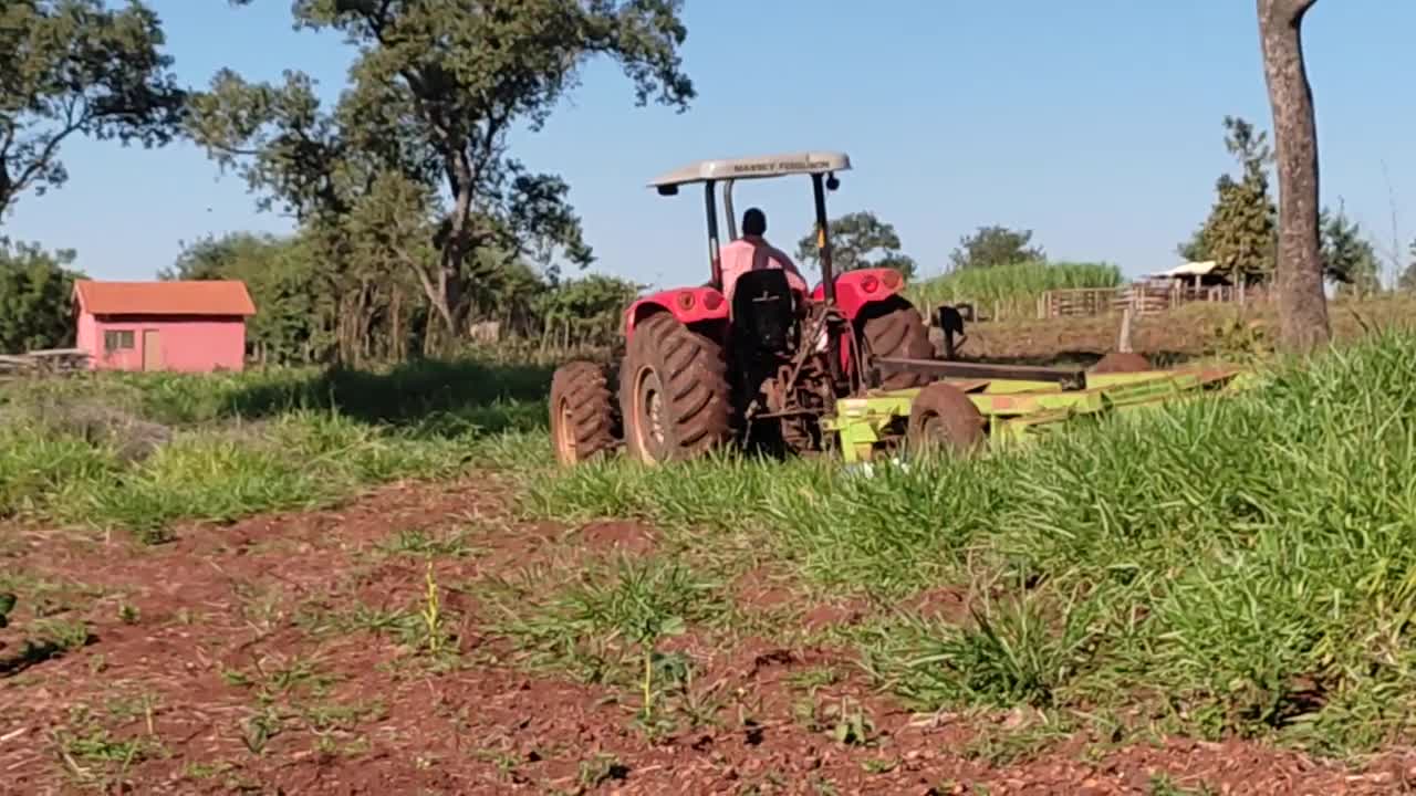 Preparando o solo para plantação