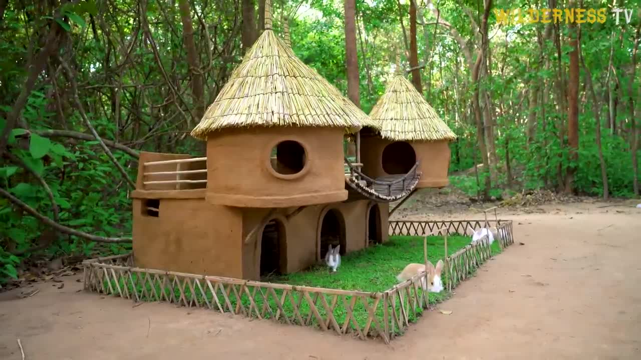 Rescue rabbit build hut for rabbit care