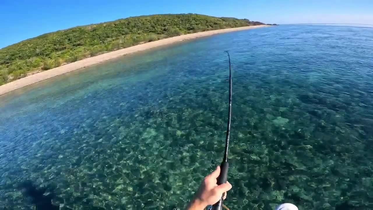 Amazing fishing skills