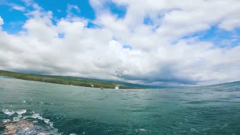 POV SURF - LIQUID PERFECTION-6