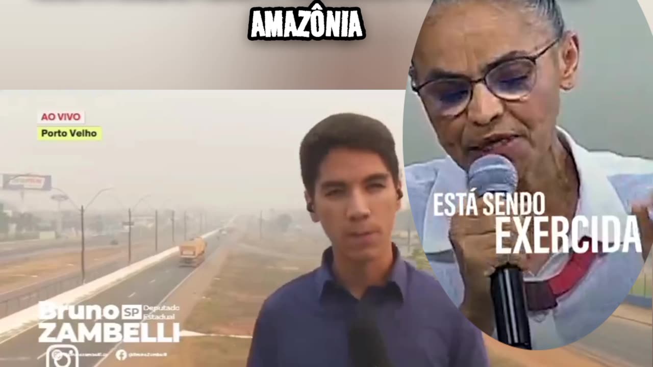 Lula Ladrão e Marina Silva propina de ONG,os dois maiores destruidores da Amazônia.