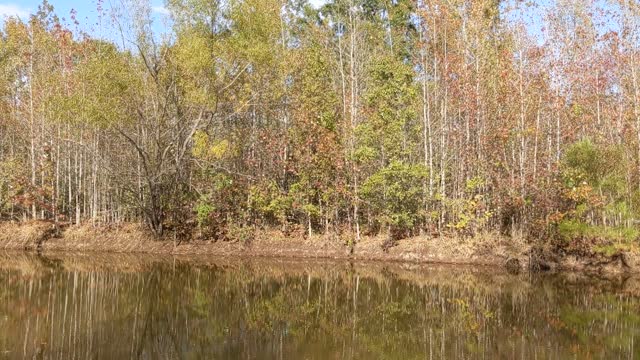 Peaceful Pond Somewhere in Arkansas