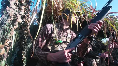 New Zealand Duck Hunting Opening Weekend 2021