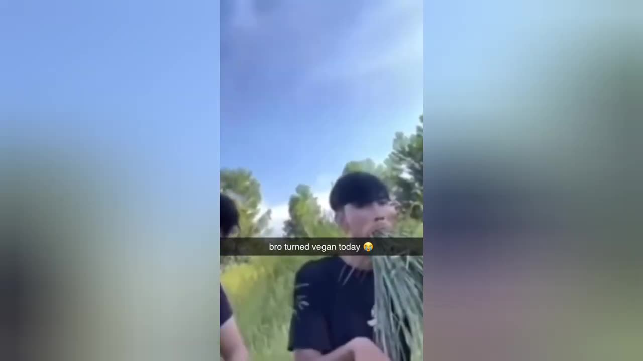 THE FUNNIEST TIK TOK MEMES Of 2023 |