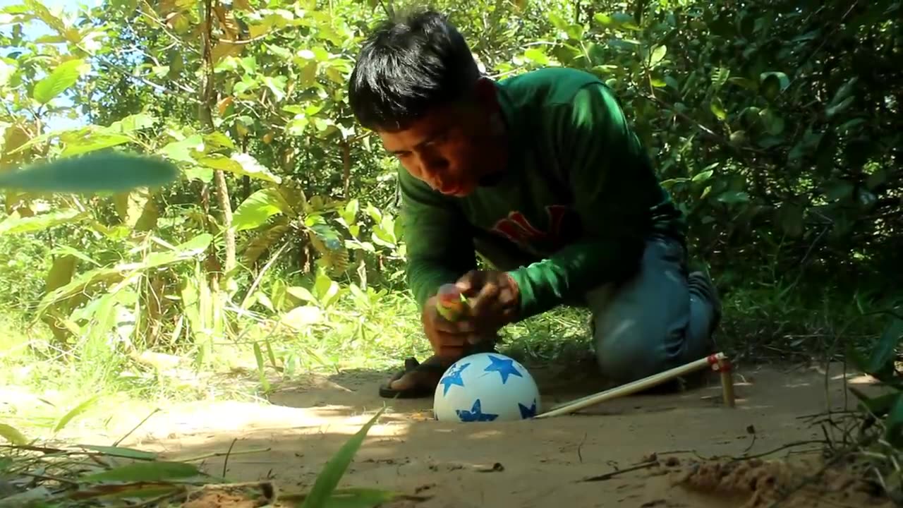 employing a small plastic ball as a bird trap, it is new and inventive.