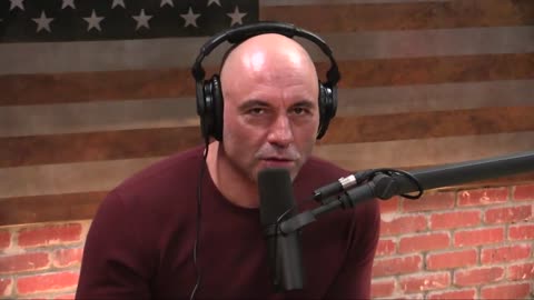 Joe Rogan Interview David Goggins.