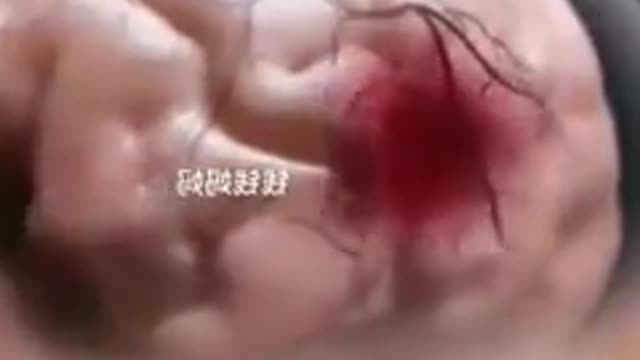 🙅🙅 DON'T DO THIS TO A BABY 🙅🙅