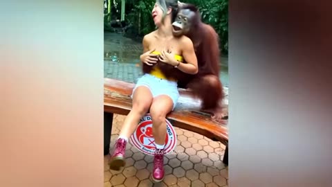 Funniest animals 2023