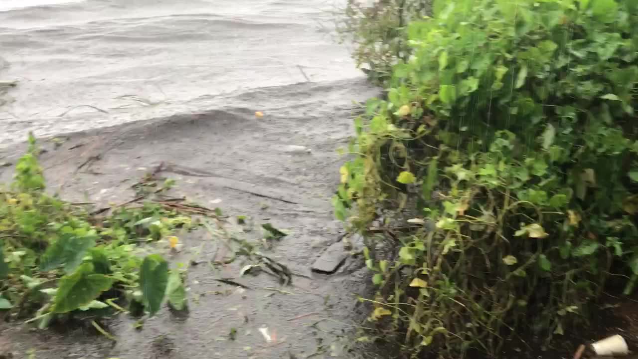 Hurricane Matthew battering docks along the saint John's river