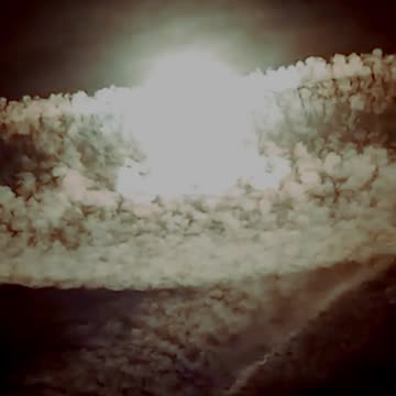 grid lines full of poison