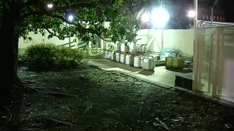 5184CHOB01CH11Exterior_2021-01-05_01h40min00s933ms.mp4