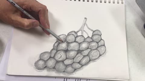 How to draw a realistic grape