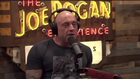 when are you having trump on the show joe rogan?