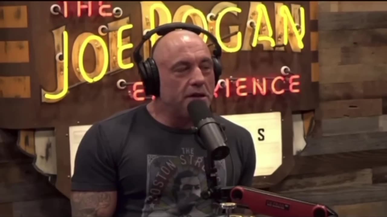 when are you having trump on the show joe rogan?