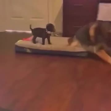 get out this place is mine