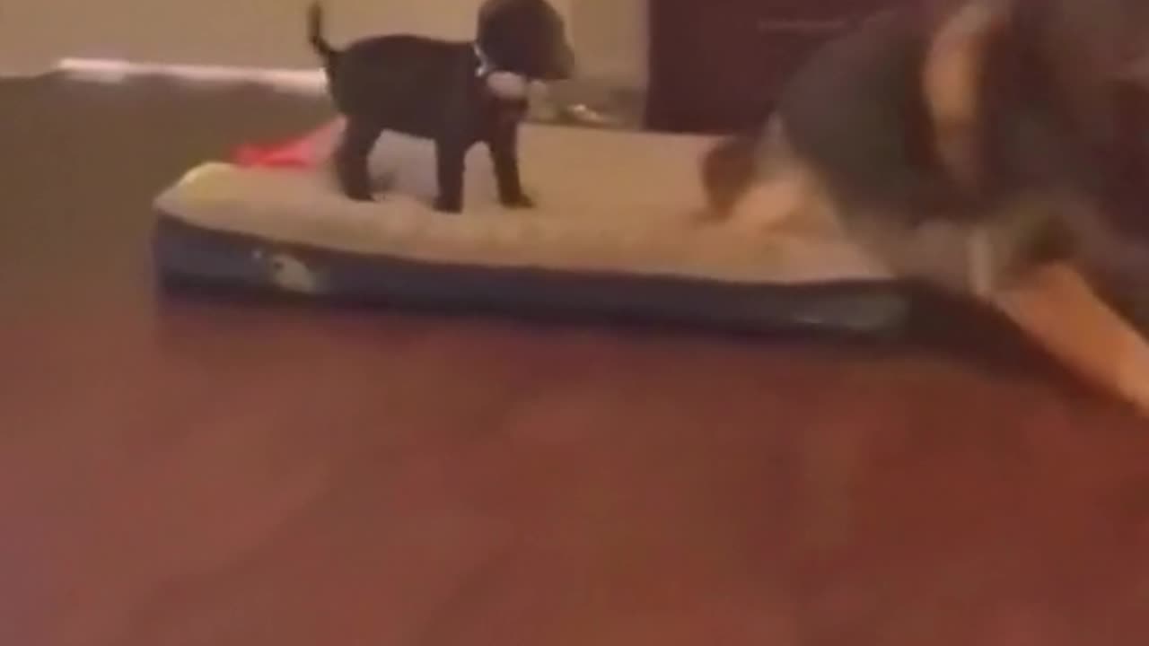 get out this place is mine
