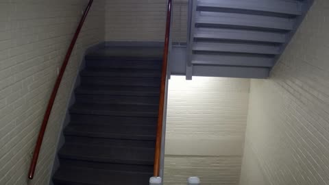 3874FHOB03Stair1_2021-01-05_02h20min00s423ms.mp4