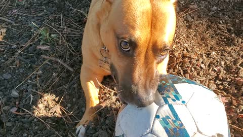 My ball