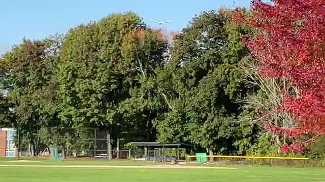 plane lands safely