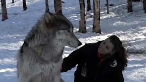 loyalty