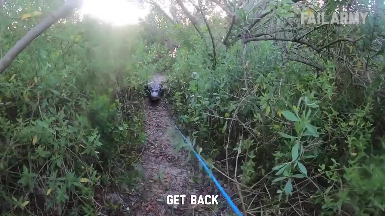 Natural disaster