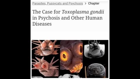 Are Parasites Demonic? Cats?