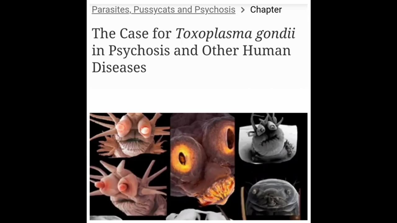 Are Parasites Demonic? Cats?