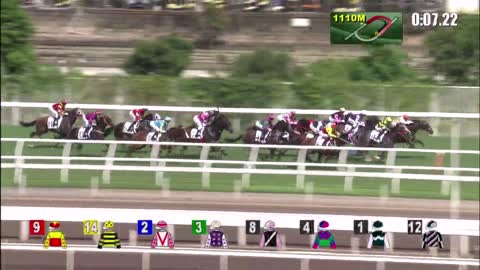 Horse_Race_2022052906_Chinese