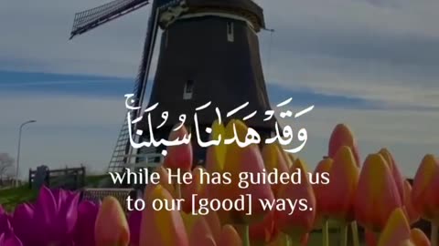 Quran recitation