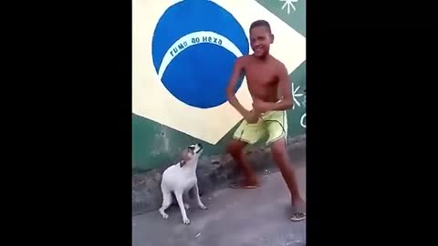 perrito bailando jugueton